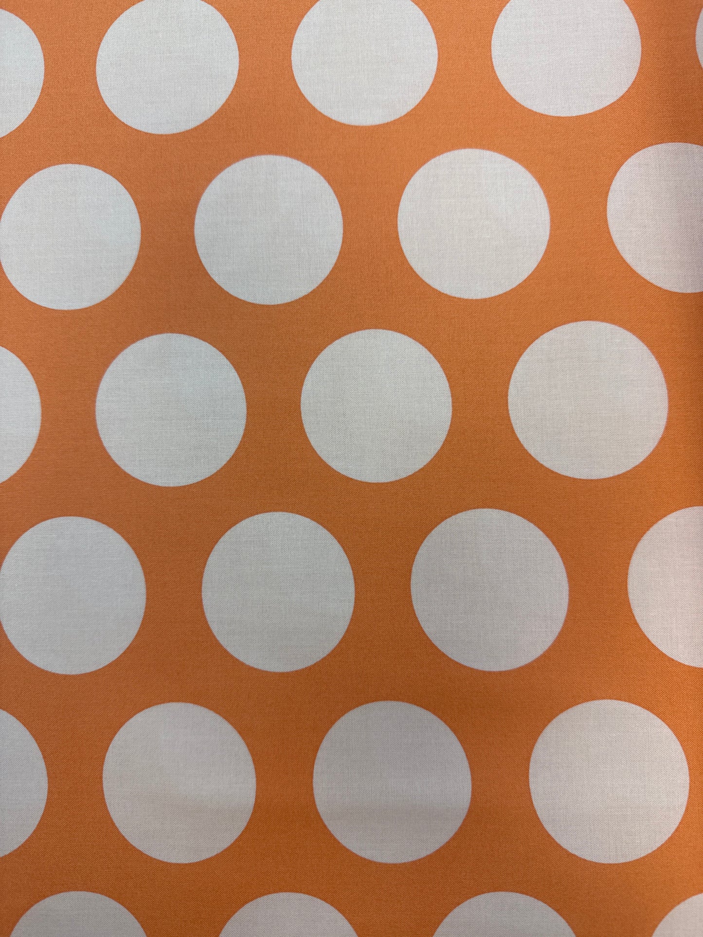 Roar Dinosaur Eggs by Tula Pink for FreeSpirit