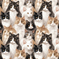 Paw And Whisker by Camelot Fabrics ~ Not A-Mew-Sed Multi ~ (1/4 Meter)