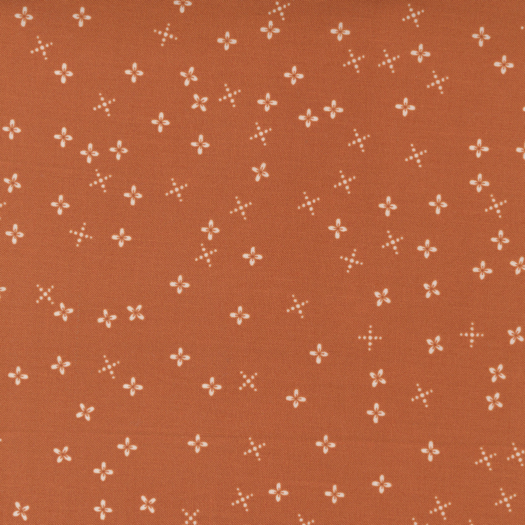 Slow Stroll by Fancy That Design House Co. ~ Longhorn ~ (1/4 Meter)