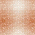 Sagebrush Babies by Ramona Murdock ~ Distressed Gingham Light Rust ~ (1/4 Meter)