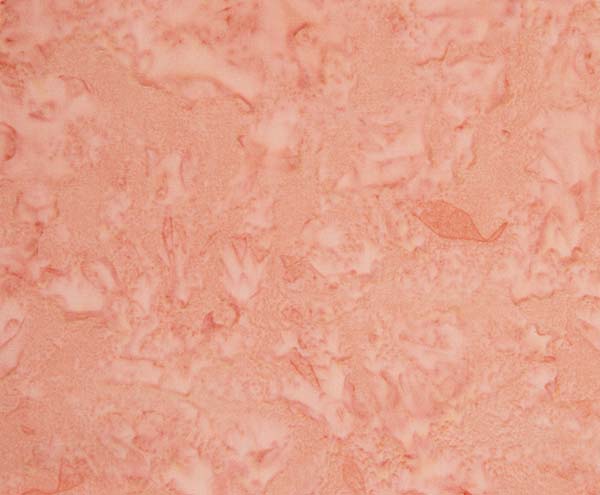Banyan Shadows Batik by Northcott ~ Blush