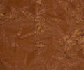 Banyan Shadows Batik by Northcott ~ Brown