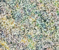 Banyan BFFs Batik by Northcott ~ Avocado