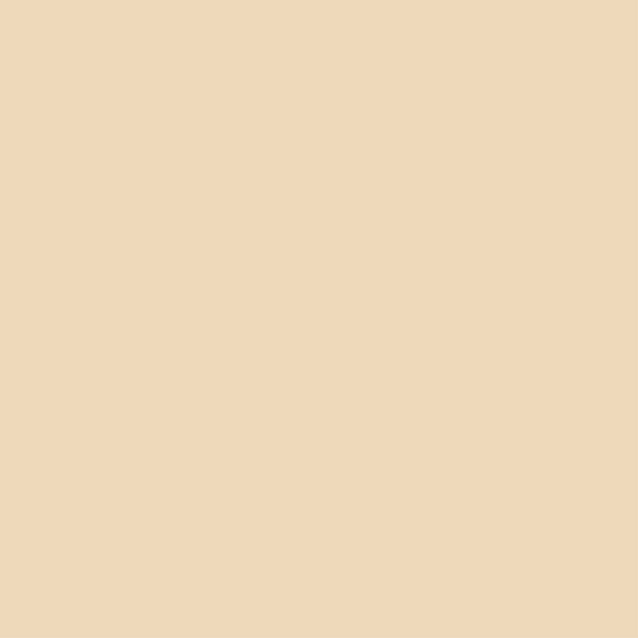 COLORWORKS Premium Solids by Northcott Studio ~ Biscuit ~ (1/4 Meter)
