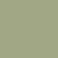 COLORWORKS Premium Solids by Northcott Studio ~ Dusty Sage