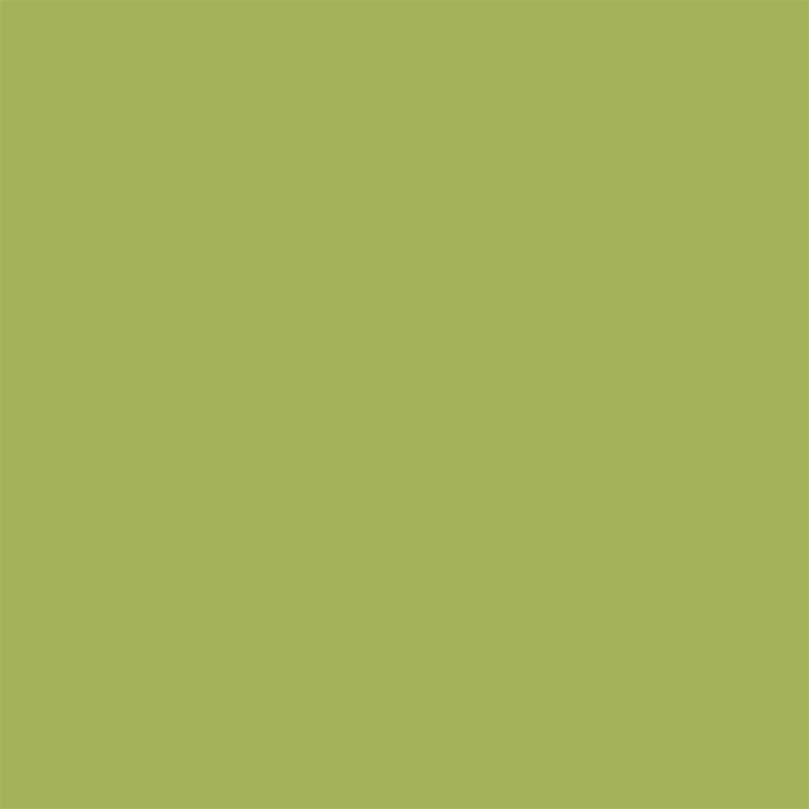 COLORWORKS Premium Solids by Northcott Studio ~ Kiwi