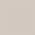COLORWORKS Premium Solids by Northcott Studio ~ Dove