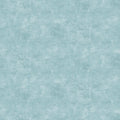 Shadow and Light by Northcott ~ Texture Serenity ~ (1/4 Meter)