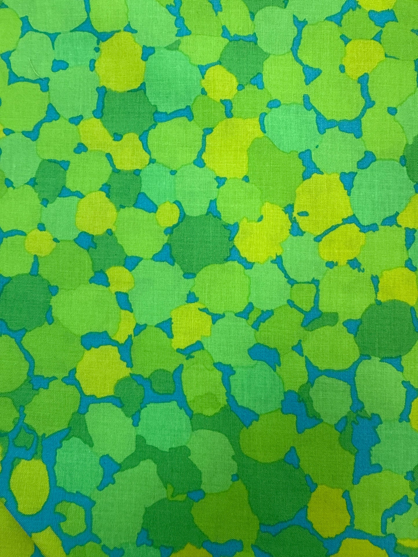 Reflections by Brandon Mably