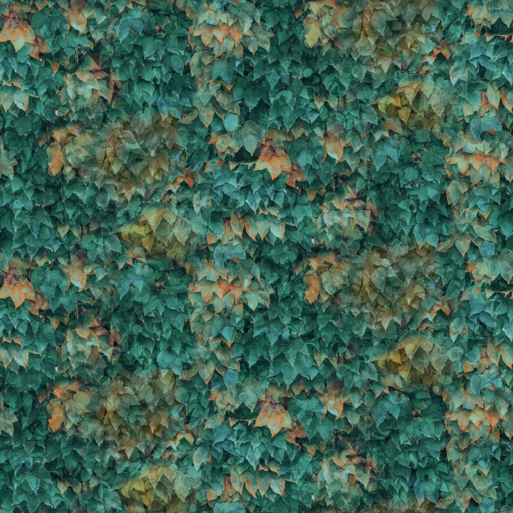 Autumn Breeze by Deborah Edwards and Melanie Samra for Northcott ~ Teal ~ (1/4 Meter)