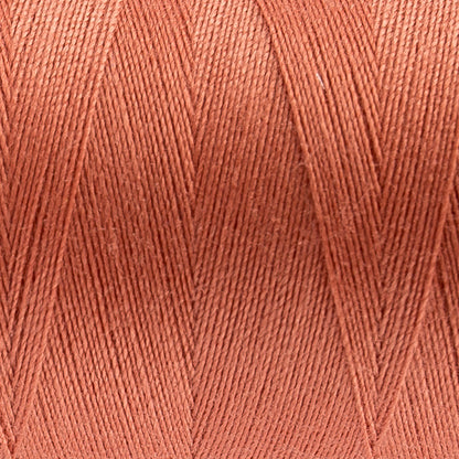 Designer All Purpose Poly 40wt 1000m ~ Funny Valentine