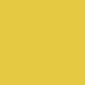 COLORWORKS Premium Solids by Northcott Studio ~ Ginko ~ (1/4 Meter)