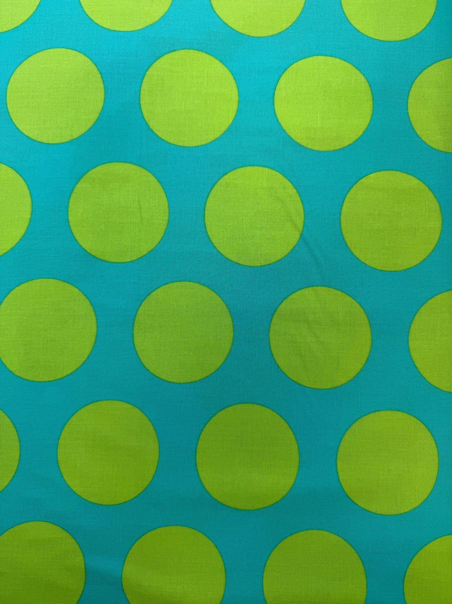 Roar Dinosaur Eggs by Tula Pink for FreeSpirit