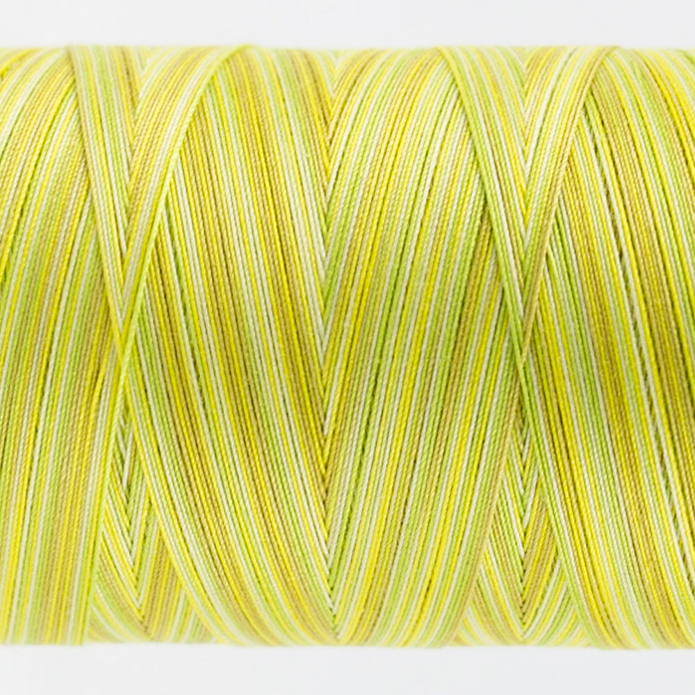 Tutti - 50wt Egyptian Cotton ~ Citrus