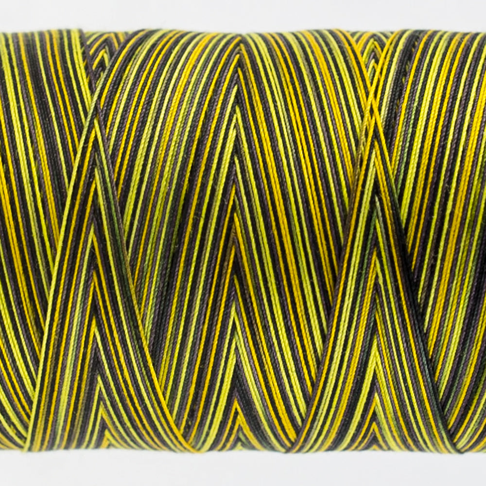 Tutti - 50wt Egyptian Cotton ~ Bumblebee