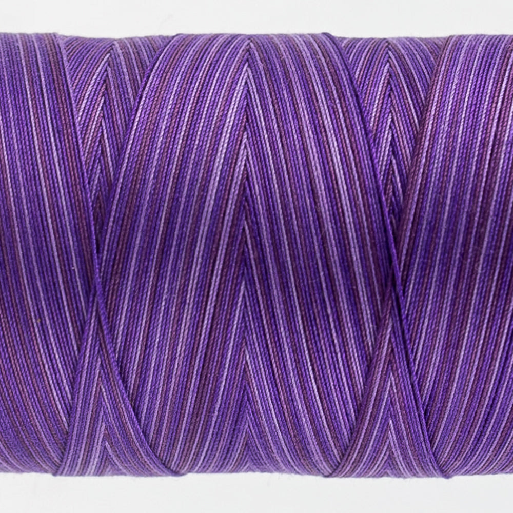 Tutti - 50wt Egyptian Cotton ~ Blueberry