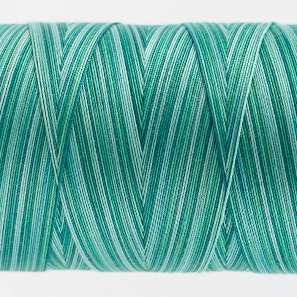 Tutti - 50wt Egyptian Cotton ~ Peacock