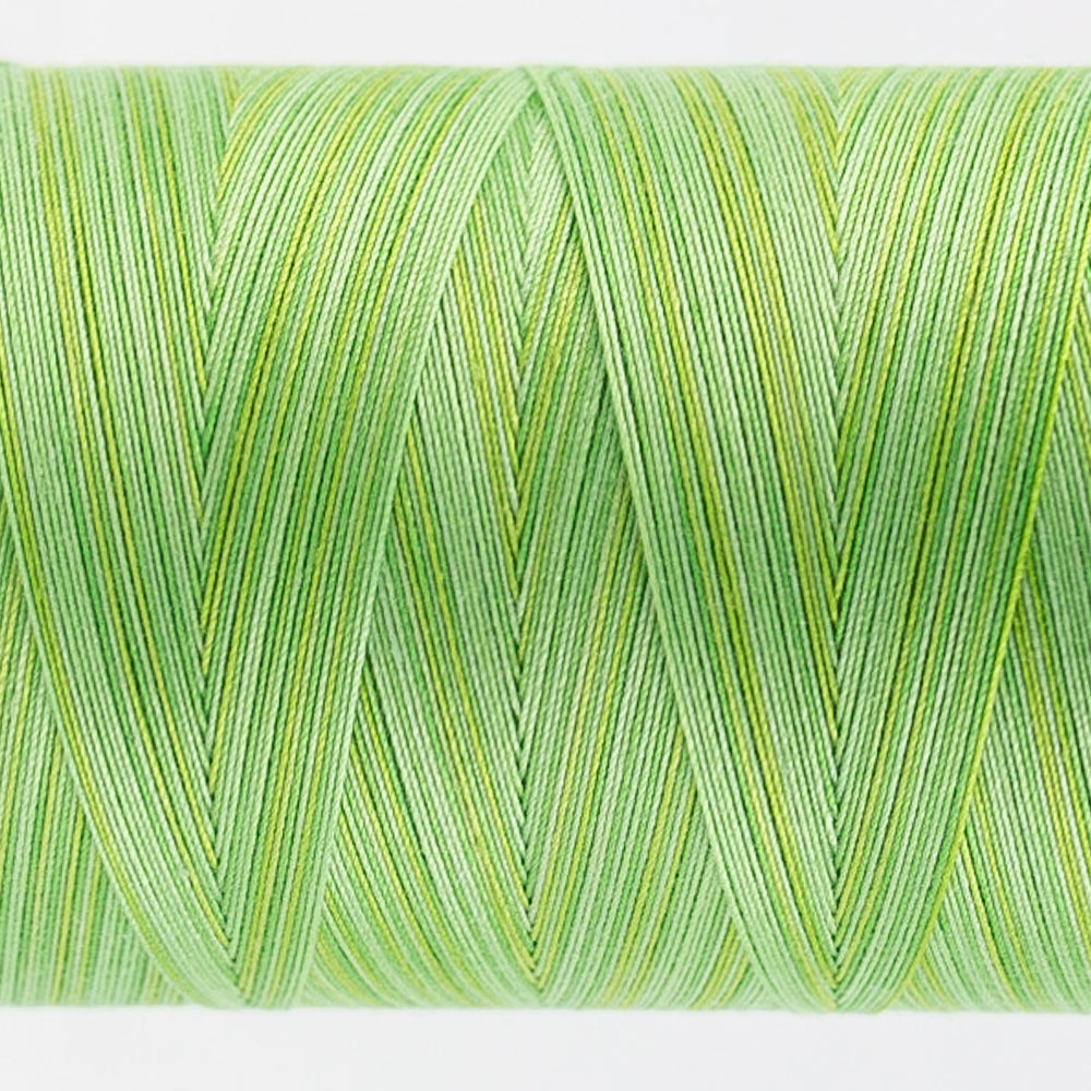Tutti - 50wt Egyptian Cotton ~ Grass