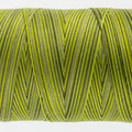 Tutti - 50wt Egyptian Cotton ~ Moss