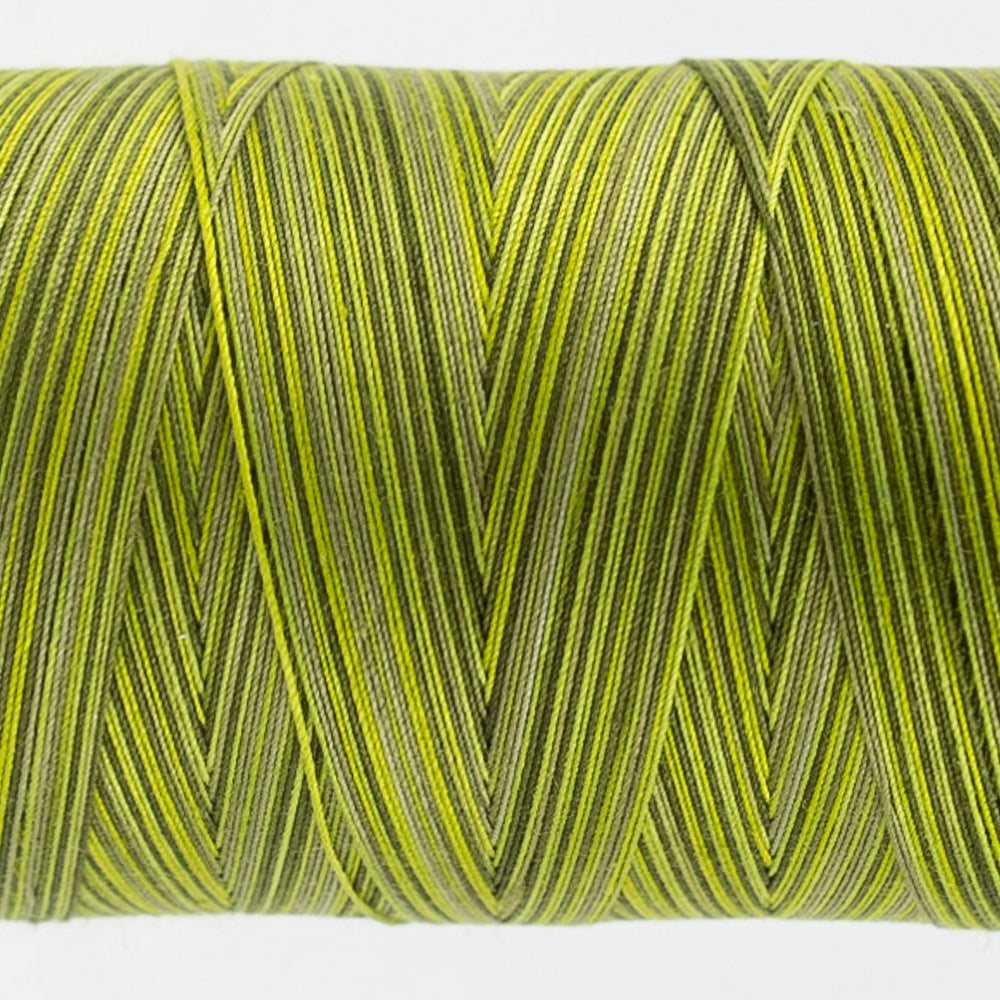 Tutti - 50wt Egyptian Cotton ~ Moss