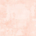 Essentials Dry Brush by Wilmington Prints ~ Pale Apricot