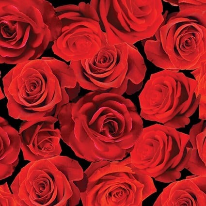 True Romance by Greta Lynn for Benartex ~ Red (1/4 Meter)