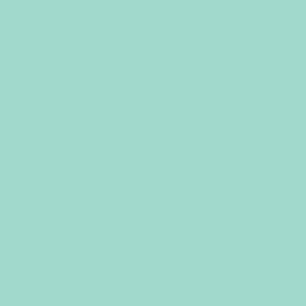 Solid Flannel by Camelot ~ Peppermint